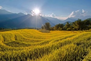 Från Sapa: 1-dags guidad vandring till Lao Chai & Ta Van med lunch