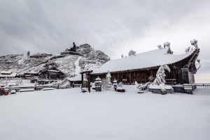 Från Sapa: 1-dags guidad vandring till Lao Chai & Ta Van med lunch