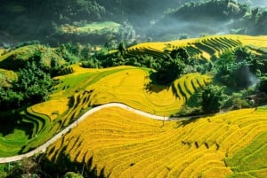 From Sapa: Terrace Fields and Local Villages Trek with Lunch