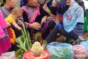 From Sapa: 1D Local Bac Ha Sunday Market Tour - Best seller