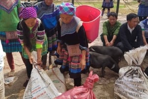 From Sapa: 1D Local Bac Ha Sunday Market Tour - Best seller