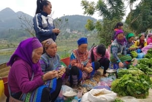 From Sapa: 1D Local Bac Ha Sunday Market Tour - Best seller