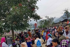 From Sapa: 1D Local Bac Ha Sunday Market Tour - Best seller