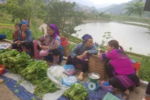 From Sapa: 1D Local Bac Ha Sunday Market Tour - Best seller