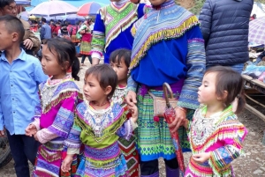 From Sapa: 1D Local Bac Ha Sunday Market Tour - Best seller