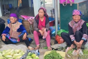 From Sapa: 1D Local Bac Ha Sunday Market Tour - Best seller