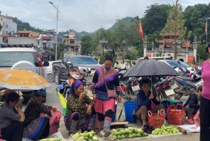 From Sapa: 1D Local Bac Ha Sunday Market Tour - Best seller