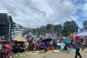 From Sapa: 1D Local Bac Ha Sunday Market Tour - Best seller