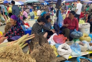 From Sapa: 1D Local Bac Ha Sunday Market Tour - Best seller