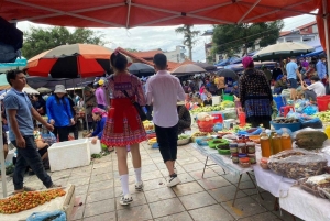 From Sapa: 1D Local Bac Ha Sunday Market Tour - Best seller