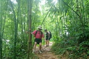 Au départ de Sapa : 2 jours de trekking au pic Fansipan