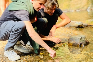 Sapasta: 2 päivän Ha Giang -kiertomatka turvallisen kuljettajan kanssa (enintään 8 henkilöä)