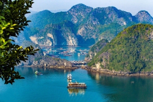 Passeio de barco de dia inteiro com o capitão Jack de Cat Ba