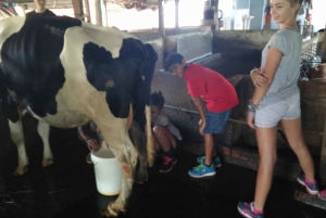 Full-Day Farming & Cooking class at Agricultural Village