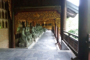 From Hanoi: Ninh Binh, Trang An, Bai Dinh, & Mua Caves Tour