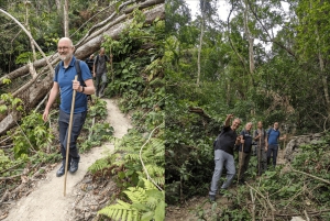 Full day hike - climbing in Jungle of Cat Ba National park