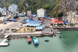 Full day hike - climbing in Jungle of Cat Ba National park