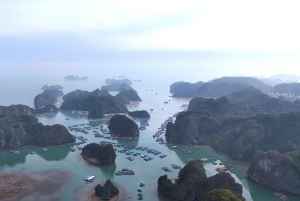 Full day hike - climbing in Jungle of Cat Ba National park