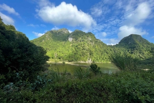 Heldags trekking i jungelen i Cat Ba nasjonalpark