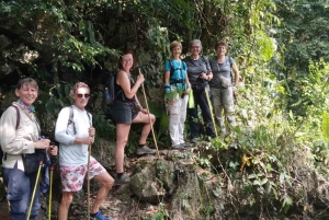 Heldags trekking i jungelen i Cat Ba nasjonalpark