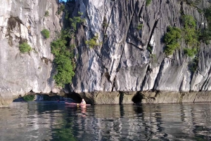 Heldags trekking i jungelen i Cat Ba nasjonalpark