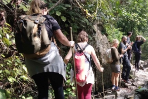 Heldags trekking i jungelen i Cat Ba nasjonalpark