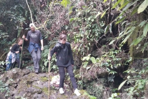 Heldags trekking i jungelen i Cat Ba nasjonalpark