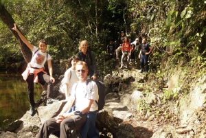 Heldags trekking i jungelen i Cat Ba nasjonalpark