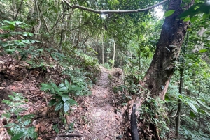 Heldags trekking i jungelen i Cat Ba nasjonalpark