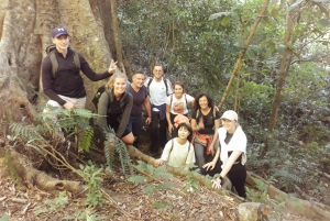 Heldags trekking i jungelen i Cat Ba nasjonalpark