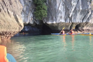 Heldags trekking i jungelen i Cat Ba nasjonalpark