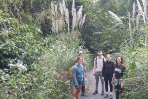 Heldags trekking i jungelen i Cat Ba nasjonalpark