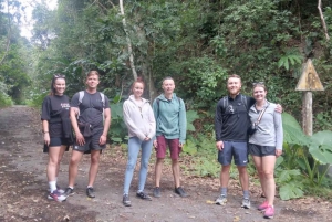 Heldags trekking i jungelen i Cat Ba nasjonalpark