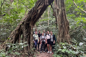 Heldags trekking i jungelen i Cat Ba nasjonalpark