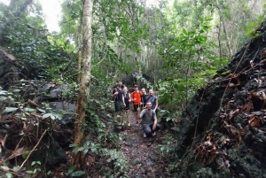 Heldags trekking i jungelen i Cat Ba nasjonalpark