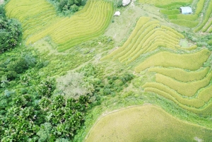 Ha Giang 2/3 Days Motorcyle Tour Easy-Rider/Pick-up (8pax)