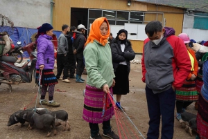 Ha Giang: 4-dniowa wycieczka z lokalnymi przewodnikami