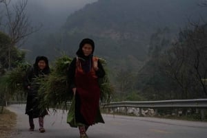 Ha Giang: 4-dniowa wycieczka z lokalnymi przewodnikami