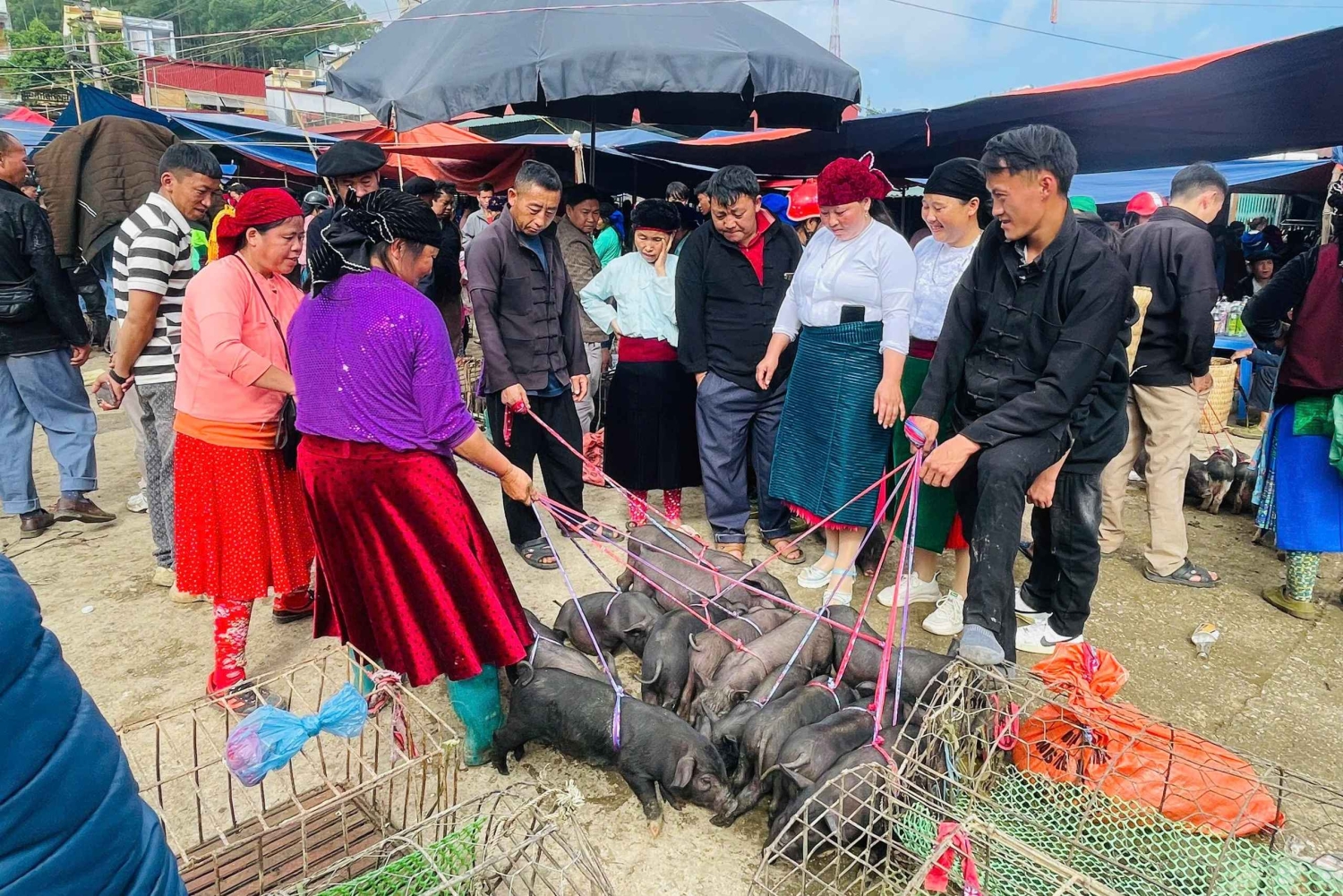 Ha Giang: Dong Van Markt-Tour mit Guide