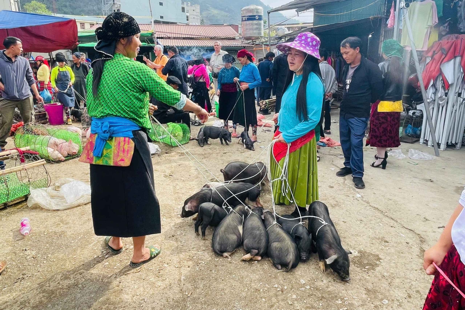 Ha Giang: Dong Van Markt-Tour mit Guide
