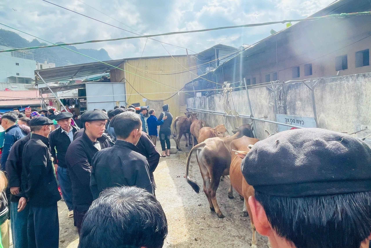 Ha Giang: Dong Van Markt-Tour mit Guide