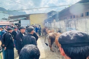 Ha Giang: Dong Van Market Fair Tour with Guide
