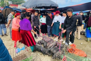 Ha Giang: Dong Van Markt-Tour mit Guide