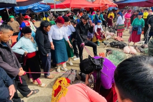 Ha Giang: Dong Van Markt-Tour mit Guide