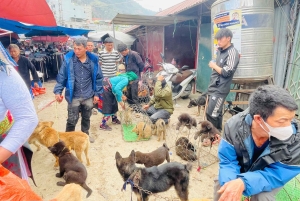 Ha Giang: Dong Van Markt-Tour mit Guide