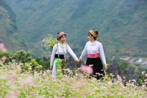 Ha Giang Loop: 3-daagse tour naar de hoogtepunten, 4* resort