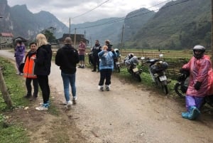 Ha Giang Loop: tour de 3 días a los lugares más destacados, resort de 4*.