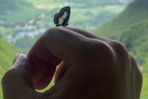 Ha Giang Loop Jasmine Tour 3D2N