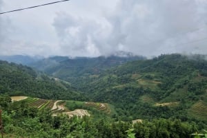 ハザンループ 4D3N ママのホームステイ