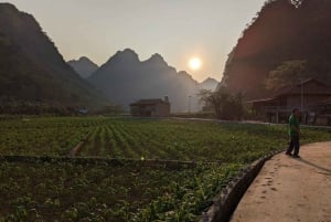 ハザンループ 4D3N ママのホームステイ